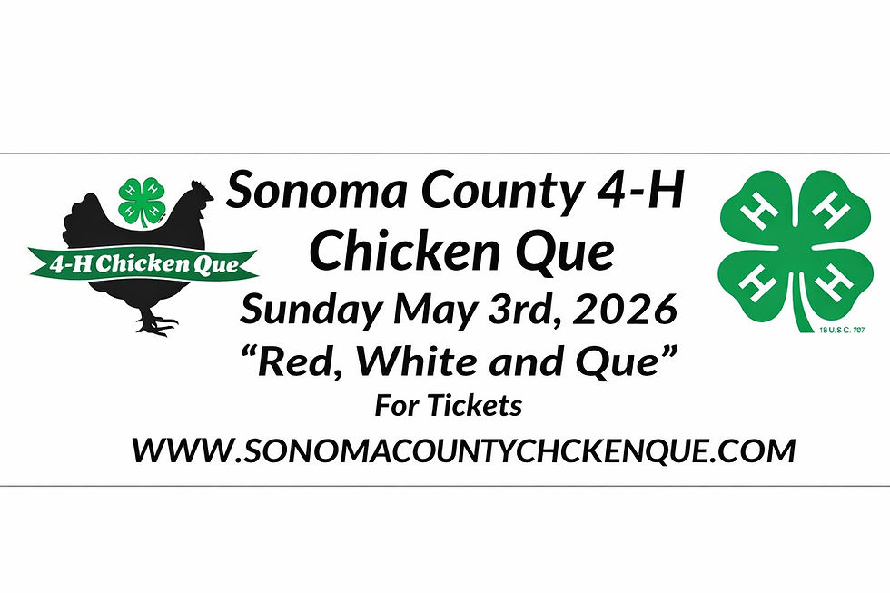 Live@ RED, WHITE and QUE (4H Chicken Que)