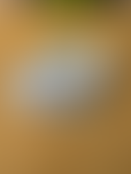 Schulbesuch in Werte