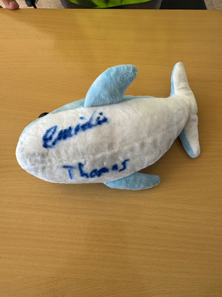 Schulbesuch in Werte