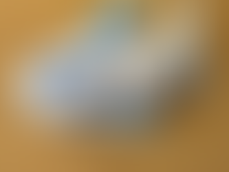 Schulbesuch in Werte