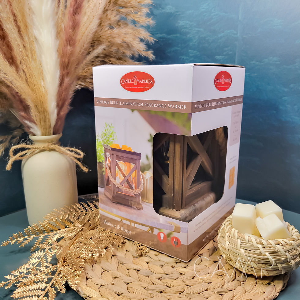 Rustic Wood + Rope | Vintage Edison Bulb Wax Melter | Camp Candle Co.