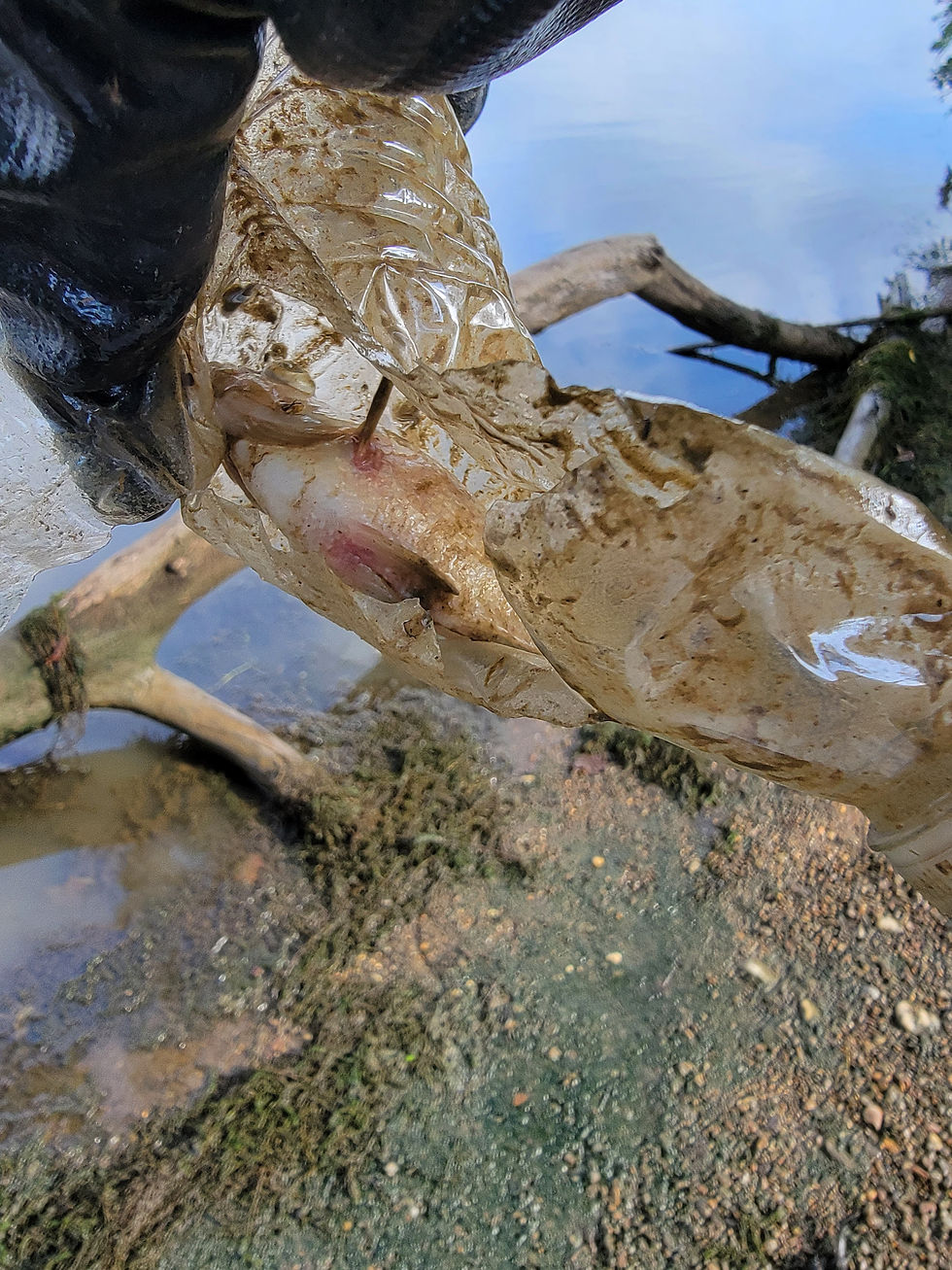 Brace for Impact: In Our Rivers