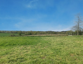 estimation-terrain-thouare-sur-loire-nantes.jpeg
