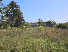IMG_0297.JPG