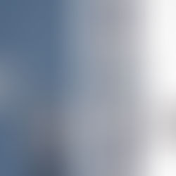 피아제 폴로 스켈레톤