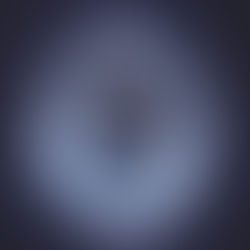 폴라리스 퍼페추얼 캘린더