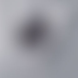 탑건 컬렉션 신제품