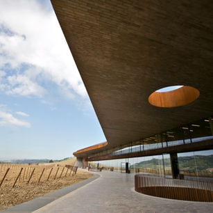 수집할 가치가 있는 살아 있는 유산, 안티노리