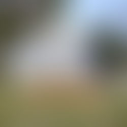 발 아래 펼쳐진 하늘, 호암미술관 이우환 신작 전시