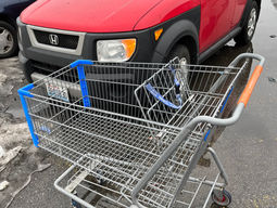 And This is Love... Shopping Cart Style!