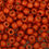 Миниатюра: Бисер Toho круглый 8-0 - 4g  - PF562F - Orange