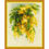 Thumbnail: Riolis Cross Stitch Embroidery Kit - 1615 Mimosa