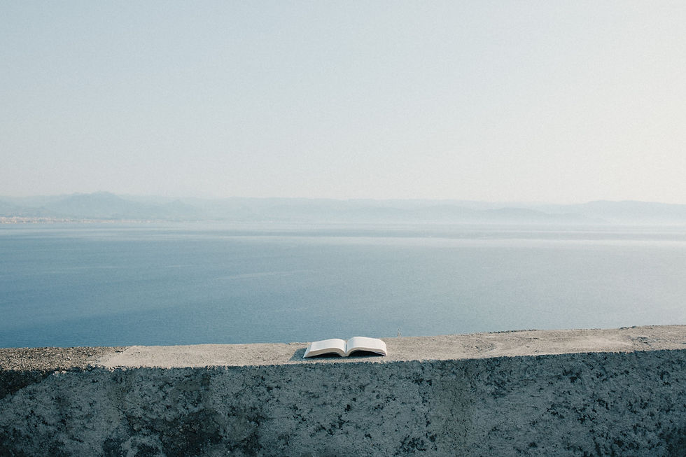 Los libros: el primer viaje que hacemos sin salir de casa.