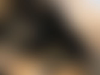 Molly and sweet Goldie girl.