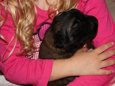 The eyes are almost open!