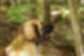 IMG_0111.jpeg