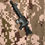 Thumbnail: American Highlander Black M16 Kilt Pin