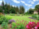 Beautiful flower garden
