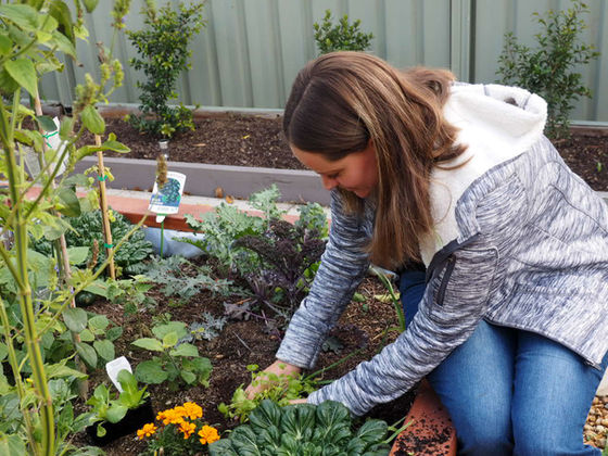 Working with Louis Joel