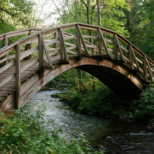 Bridging to Shelter Support