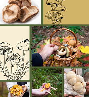 Screenshot 2025-09-27 at 12.34_edited.jpg