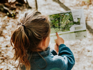 New insights into anonymous child sexual abuse material offenders