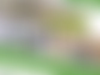 הטבה ייחודית ליתומי צה"ל הסטודנטים