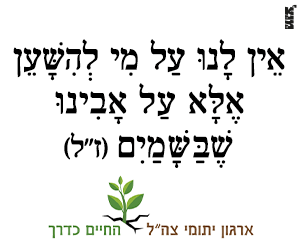 idf-300X250 - Copy.gif