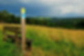 Wispertrail_Wanderzeichen.jfif