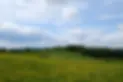 Wispersteig_Kirschbaum.webp