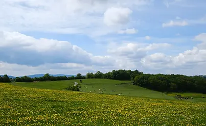 Wispersee.jpg