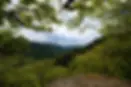 wispertalsteig.webp