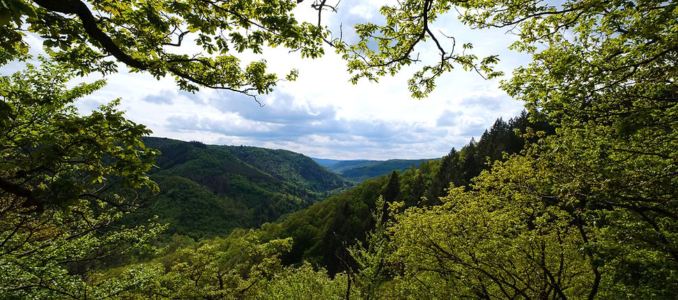 wispertalsteig_edited.jpg