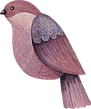 鳥
