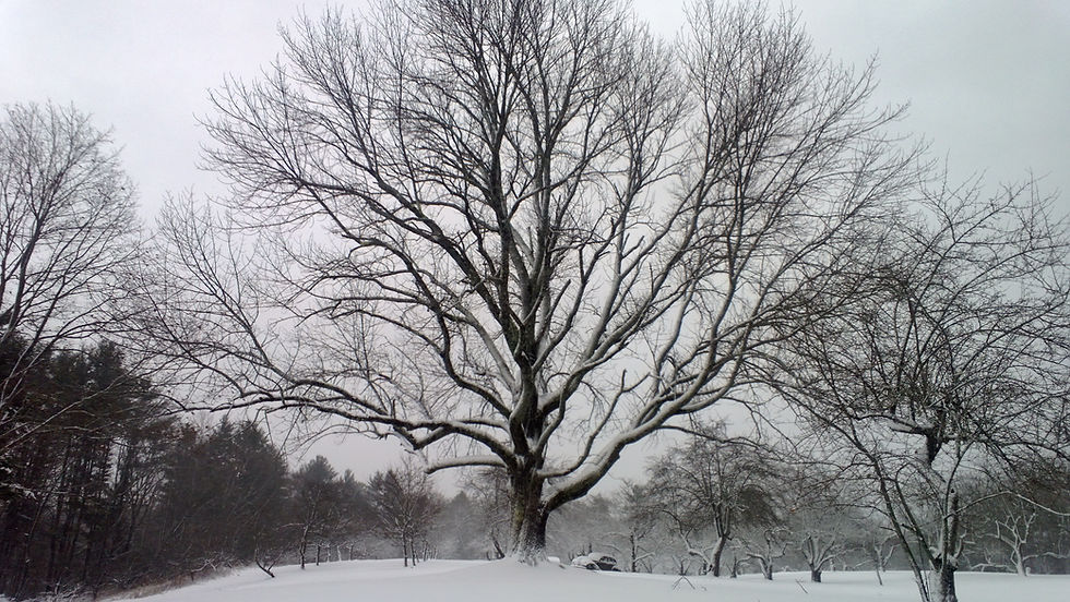 2012-12-27+10.41.27.jpg