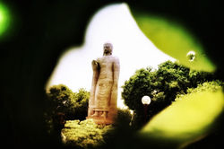 Budda Statue