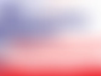 Political Candidate Introductions: Massaroni and Stallard