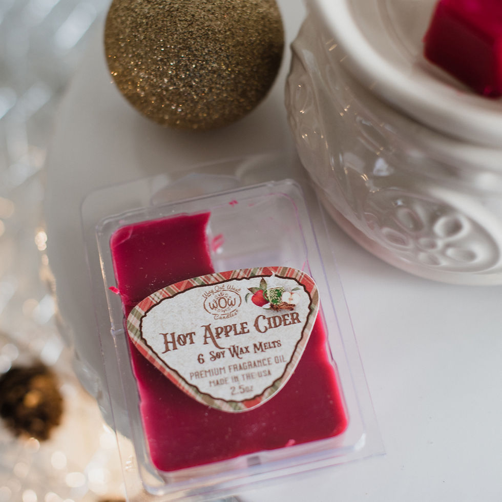 Thumbnail: Winter Fragrances Wax Melts - 4 Pack
