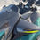 Miniature : 2023 Seadoo rxp 300 apex 109 h 