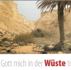 Wenn Gott mich in der Wüste trifft