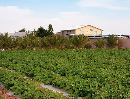 OJa_Farm_Haus.jpg
