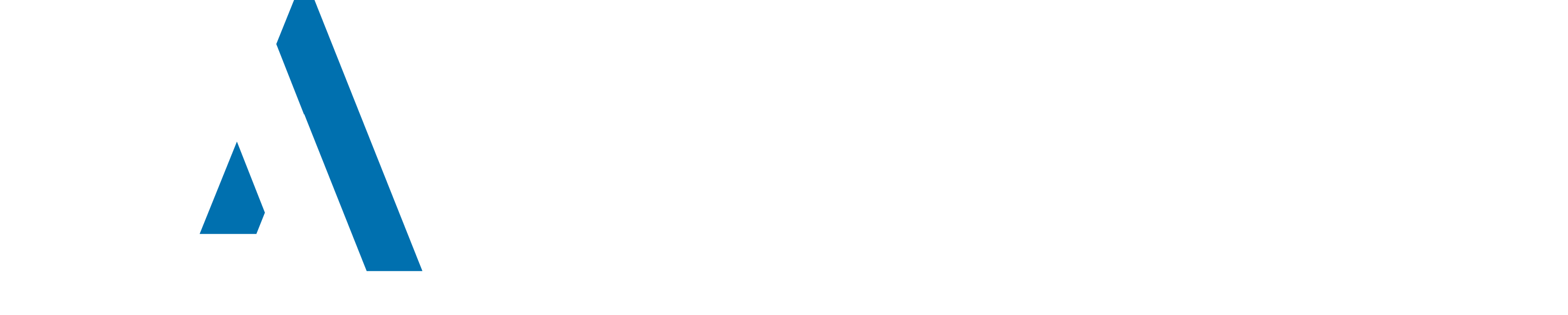 Merlin Accessories Alternate White Logo.png