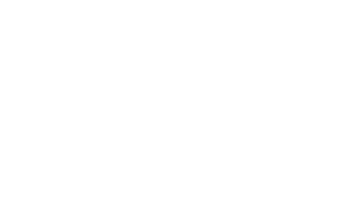 Phoenix Air Handling-Icon White.png