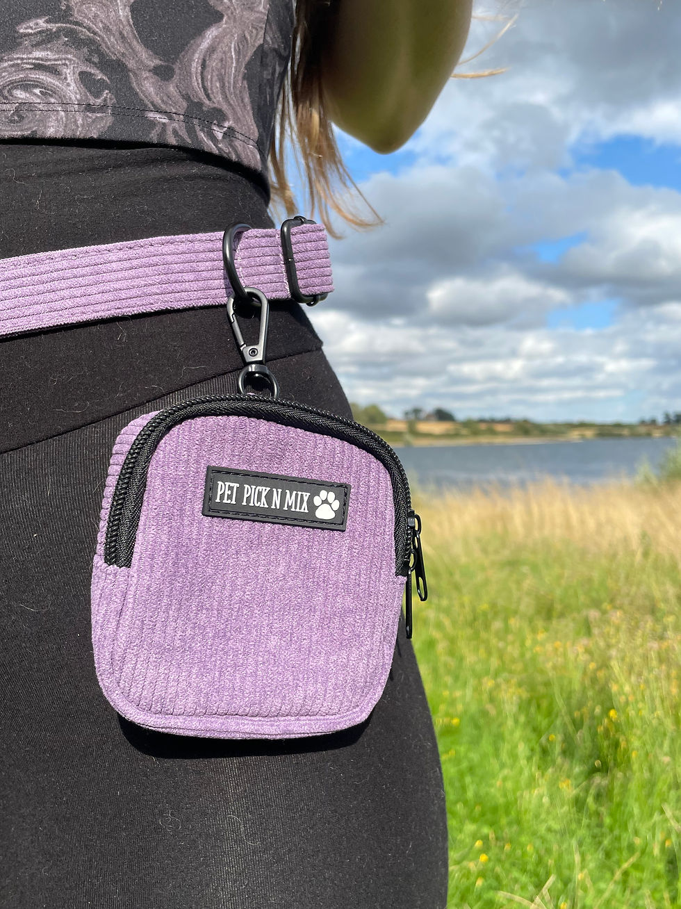 Thumbnail: Lavender Dog Walking Bag