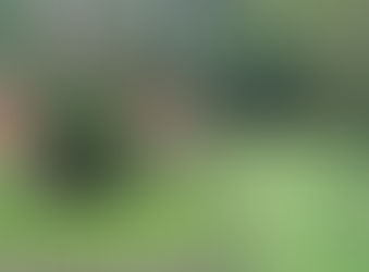 FSRA Newsletter - Feb 24