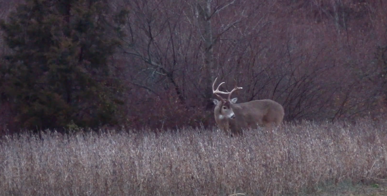 High Ridge Hunters Ridge Hunter Outdoors | Deer Hunting HQ
