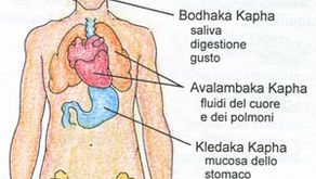 i cinque sub-dosha di kapha