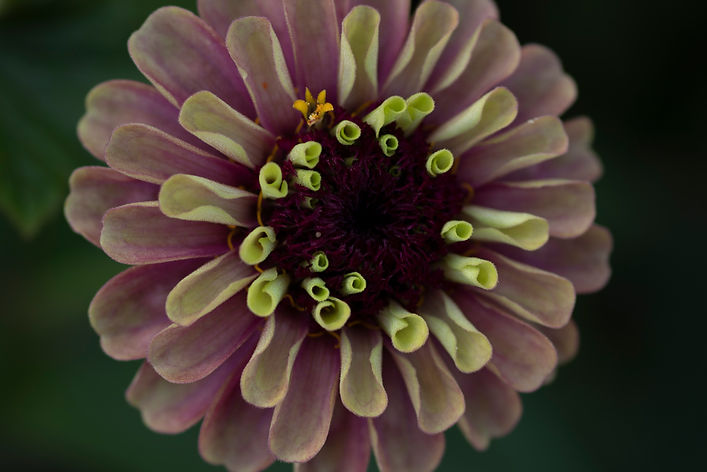 portfolio-9.JPG