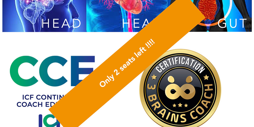 3 Brains Coach Certification Training ICF 30 CCEU's Online