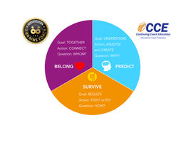 YES ICF CCE certified !!!!
